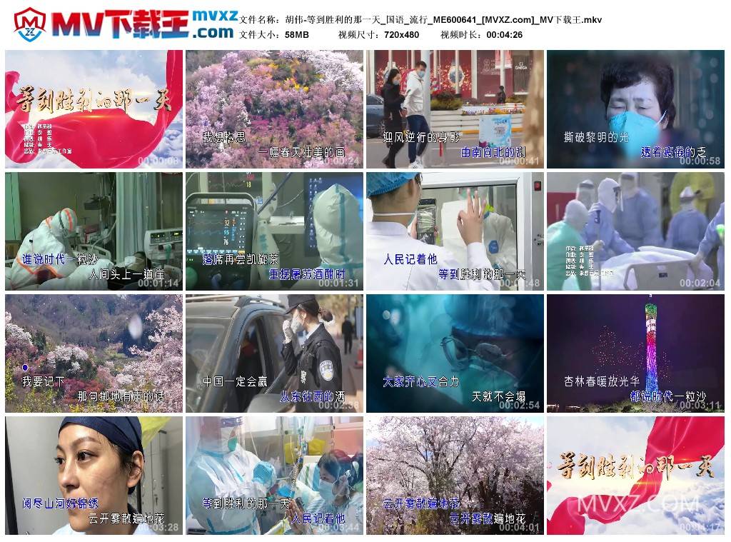 胡伟-等到胜利的那一天_国语_流行_ME600641